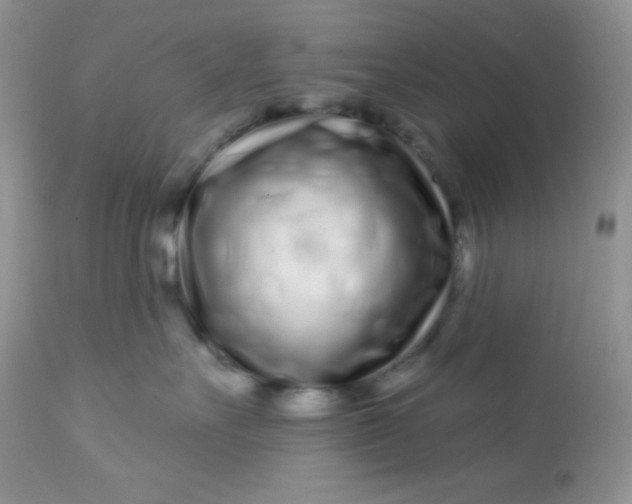 X0000113580527200910091505