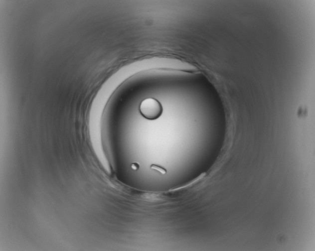 X0000113580528200910091505