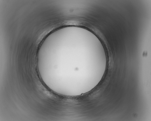 X0000113580529200910091504