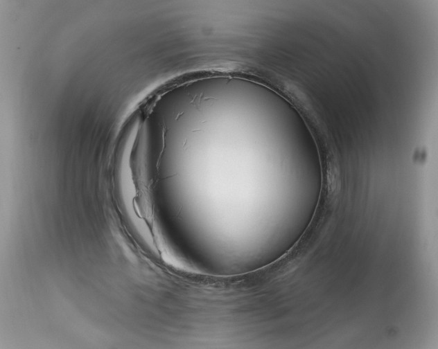 X0000113580532200910091504