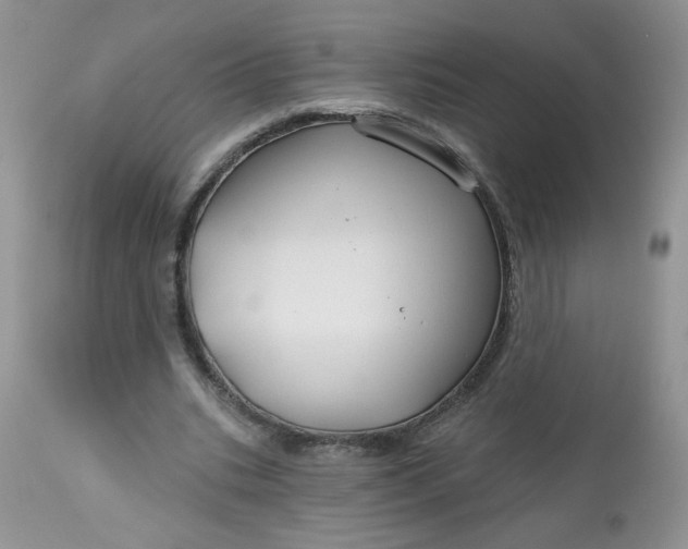 X0000113580535200910091504