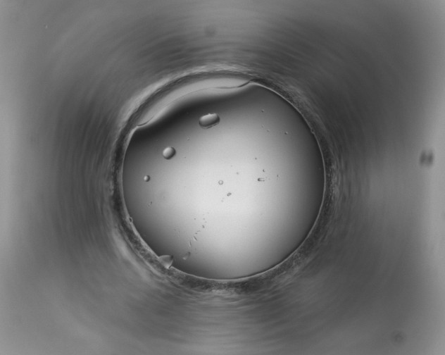 X0000113580536200910091504