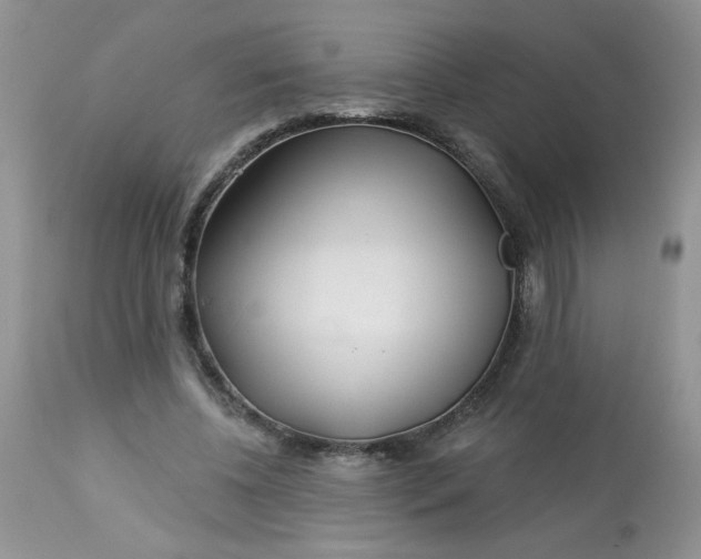 X0000113580540200910091504