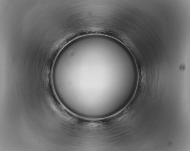 X0000113580542200910091505