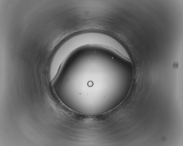 X0000113580544200910091505