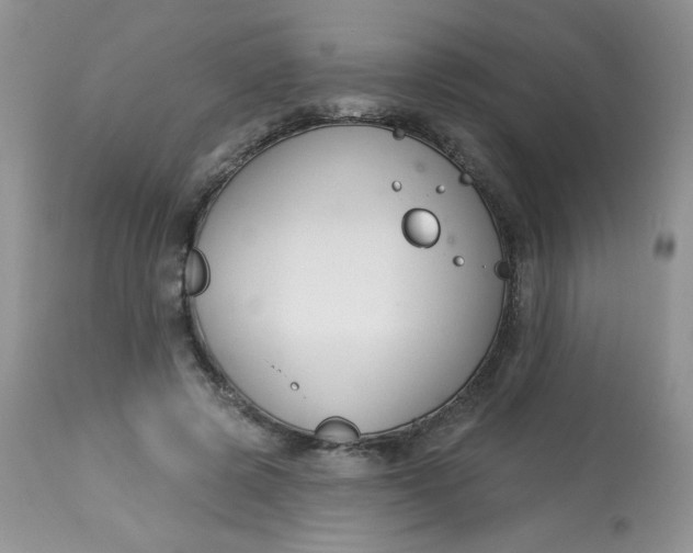 X0000113580545200910091505