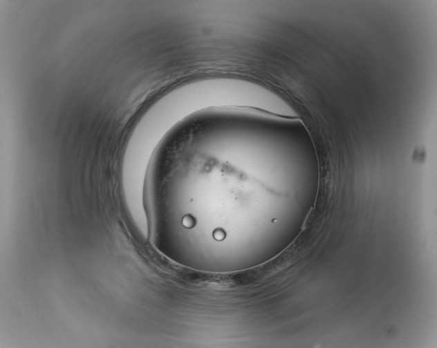 X0000113580548200910091505