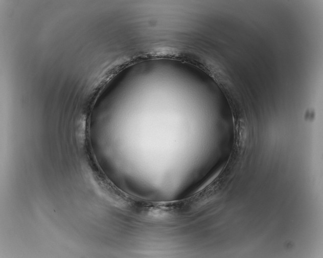 X0000113580550200910091505