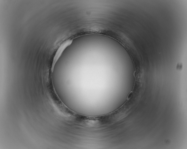 X0000113580552200910091505