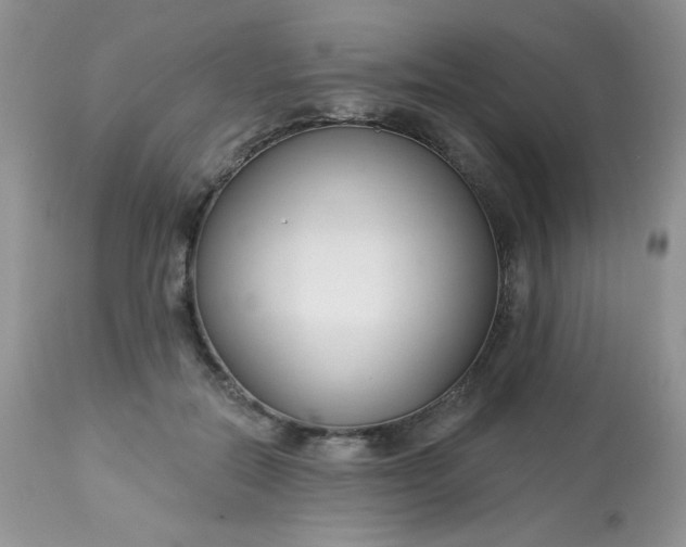 X0000113580554200910091505