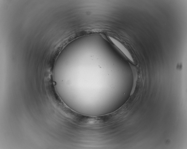 X0000113580555200910091505