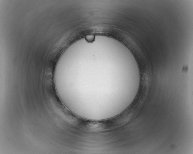 X0000113580557200910091505