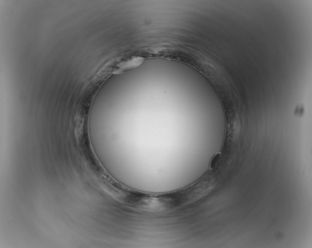 X0000113580558200910091505