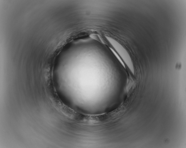 X0000113580559200910091505