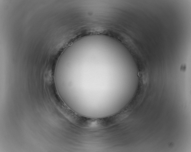 X0000113580564200910091505