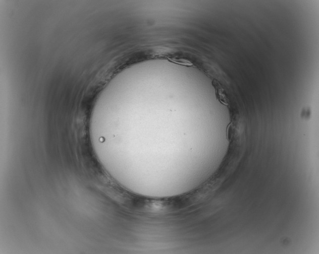 X0000113580565200910091505