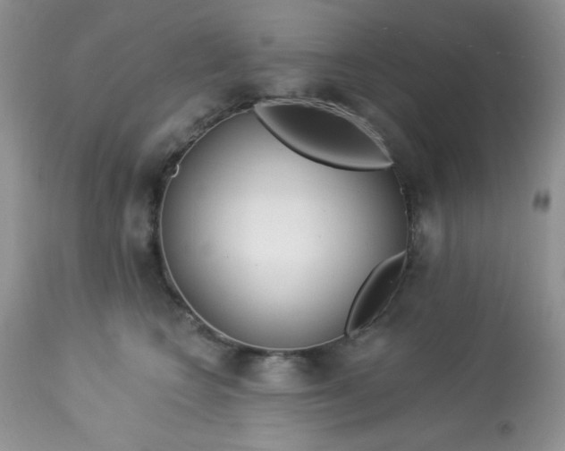 X0000113580566200910091505