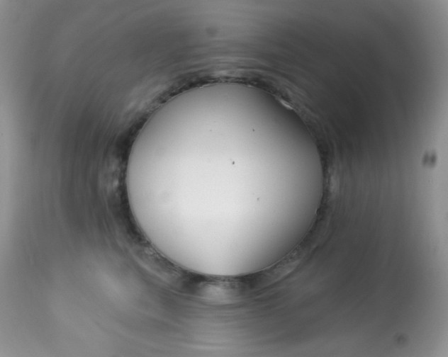 X0000113580567200910091505