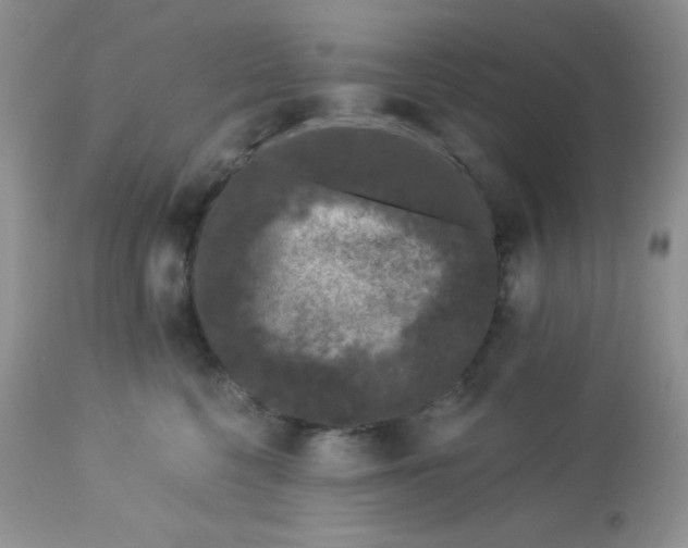 X0000113580568200910091505