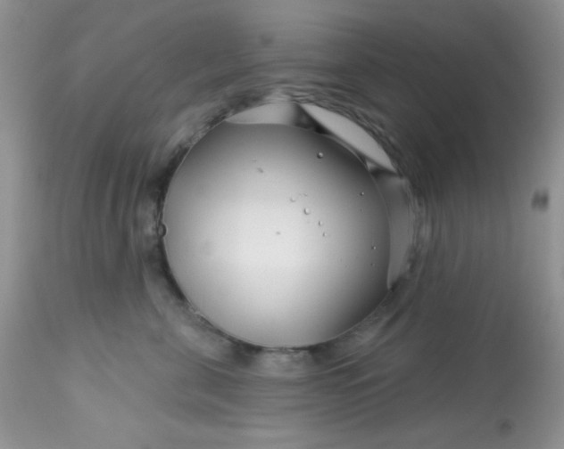 X0000113580571200910091505