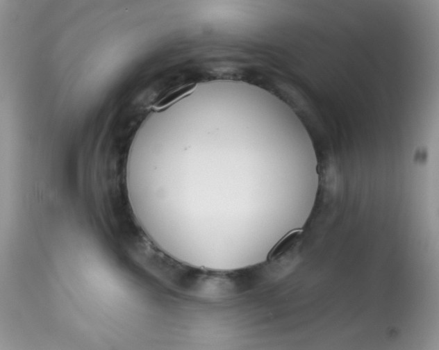 X0000113580572200910091505