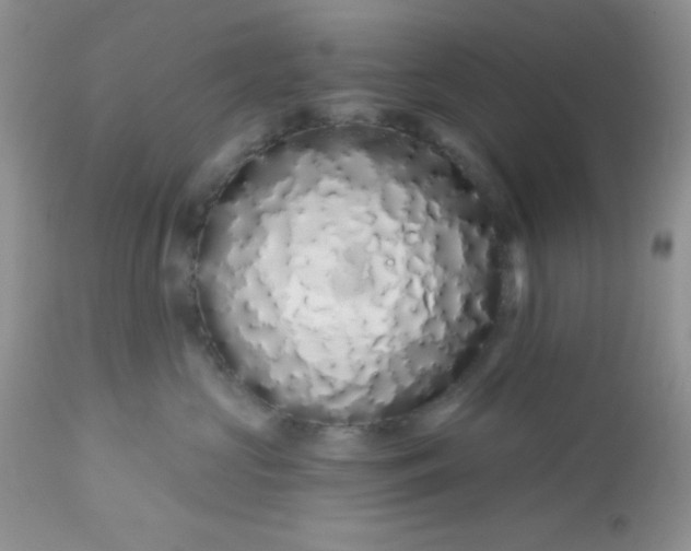 X0000113580573200910091505