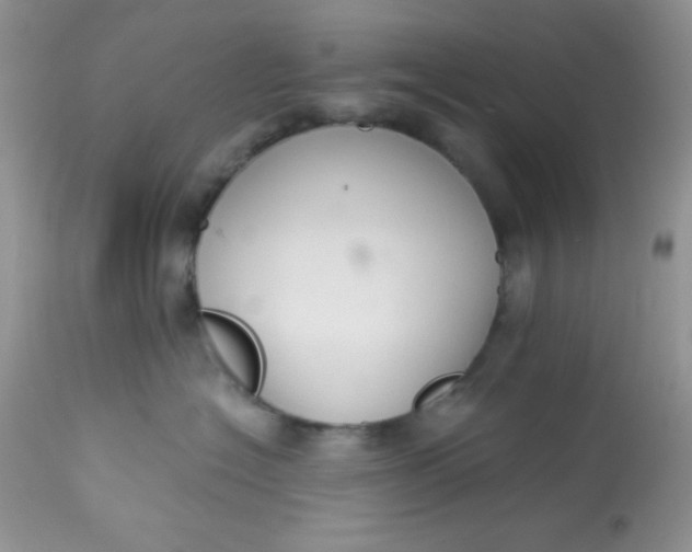 X0000113580574200910091505