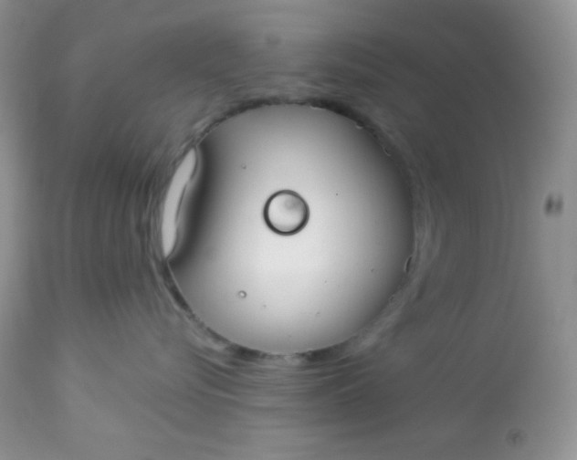 X0000113580576200910091505