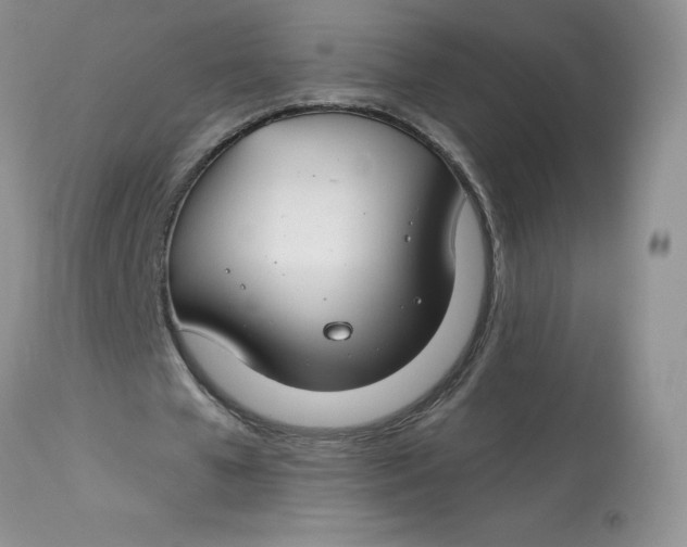 X0000113580577200910091504