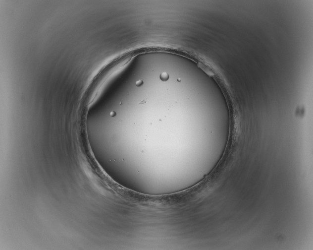 X0000113580580200910091504