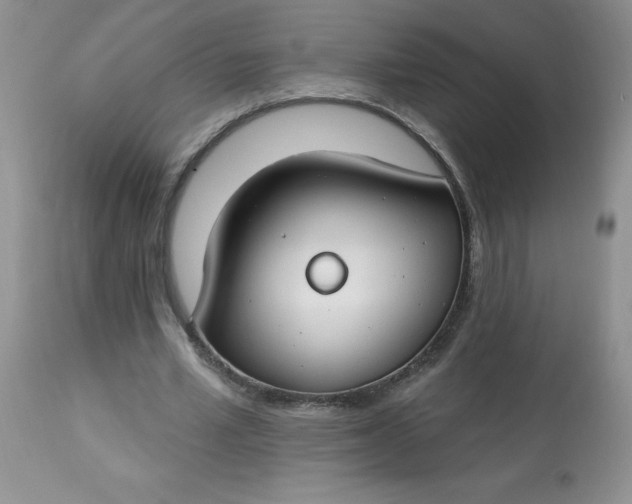 X0000113580581200910091504