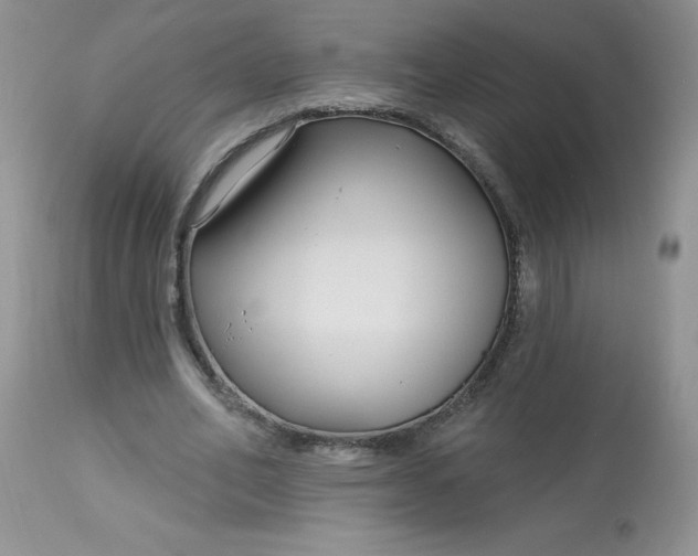 X0000113580582200910091504