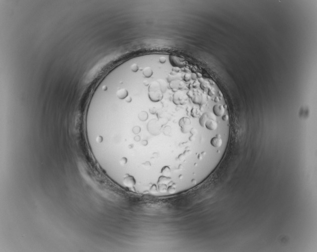 X0000113580583200910091504