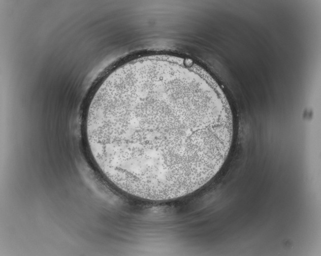 X0000113580584200910091504