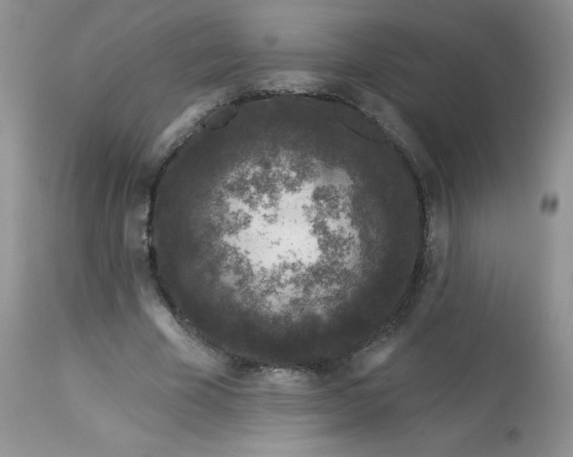 X0000113580585200910091504