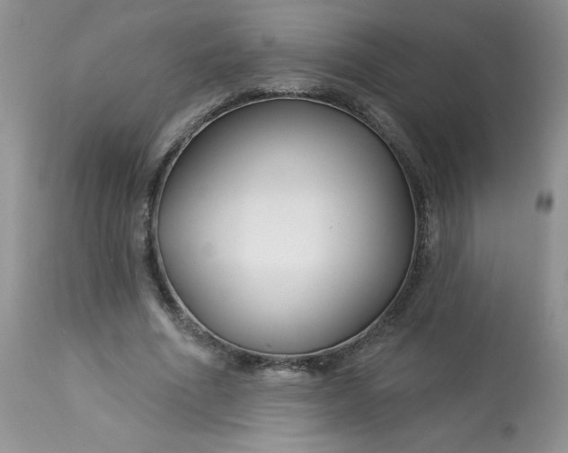 X0000113580586200910091504