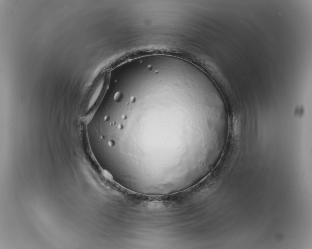 X0000113580588200910091504