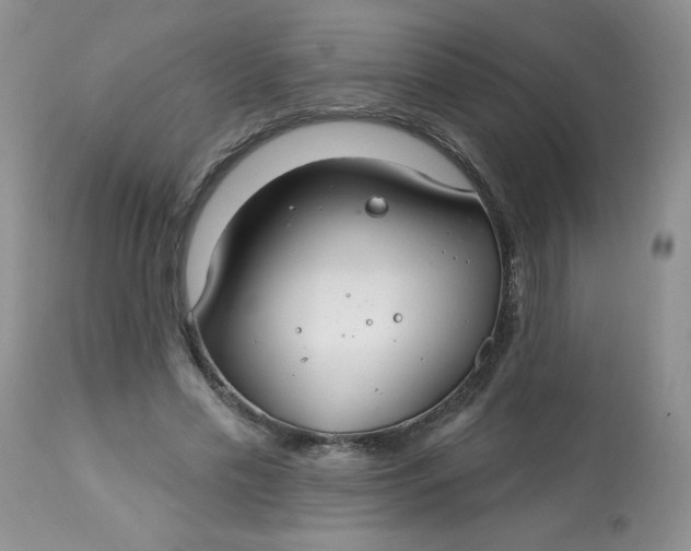 X0000113580589200910091504