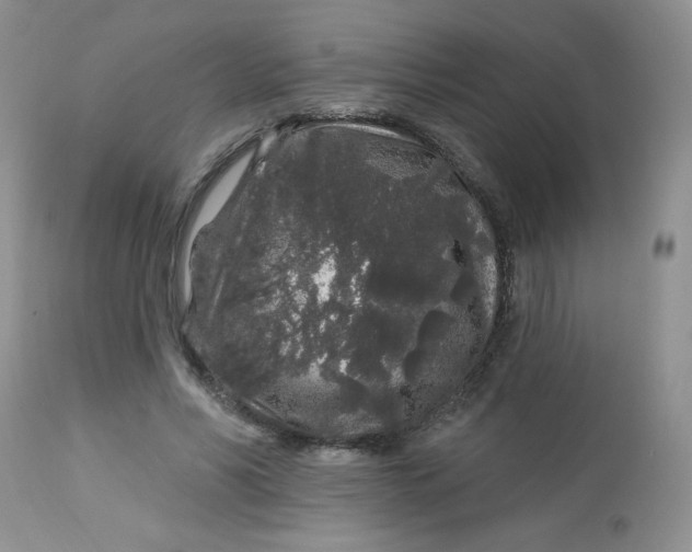 X0000113580590200910091504