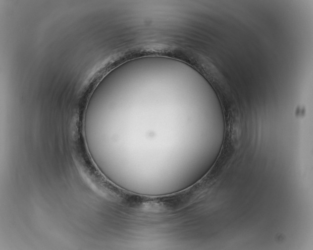 X0000113580591200910091504