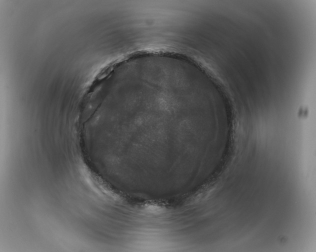 X0000113580592200910091504