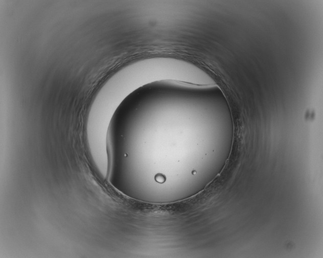 X0000113580593200910091504