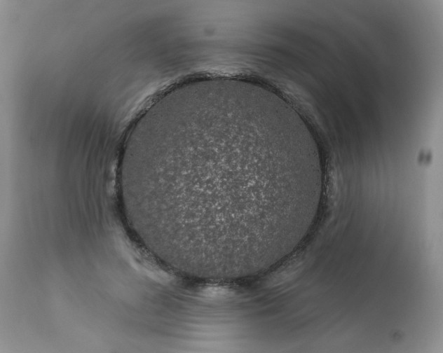 X0000113580596200910091504