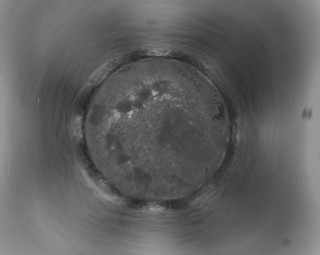 X0000113580598200910091504