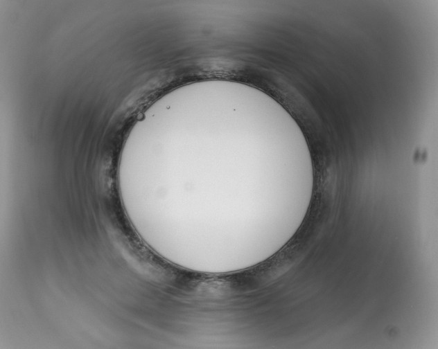 X0000113580599200910091504