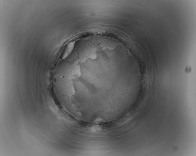 X0000113580600200910091504