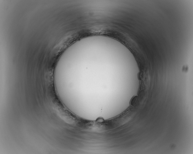 X0000113580601200910091504