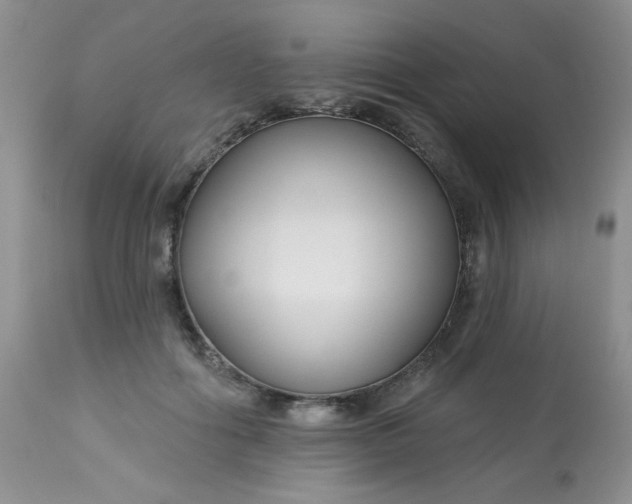 X0000113580602200910091504