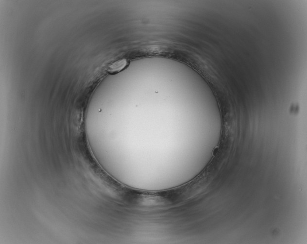 X0000113580605200910091504