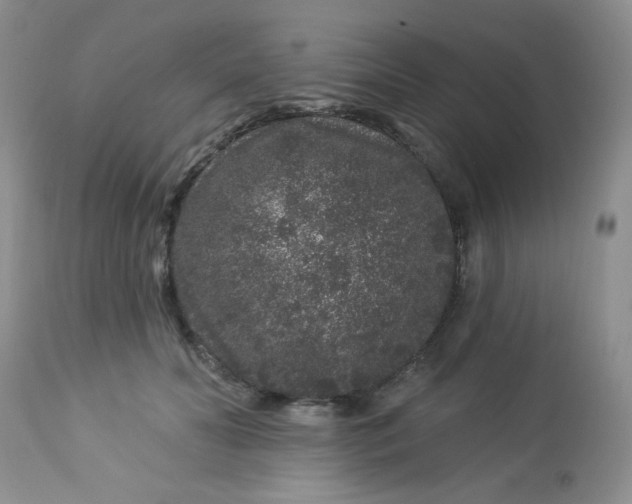 X0000113580606200910091504